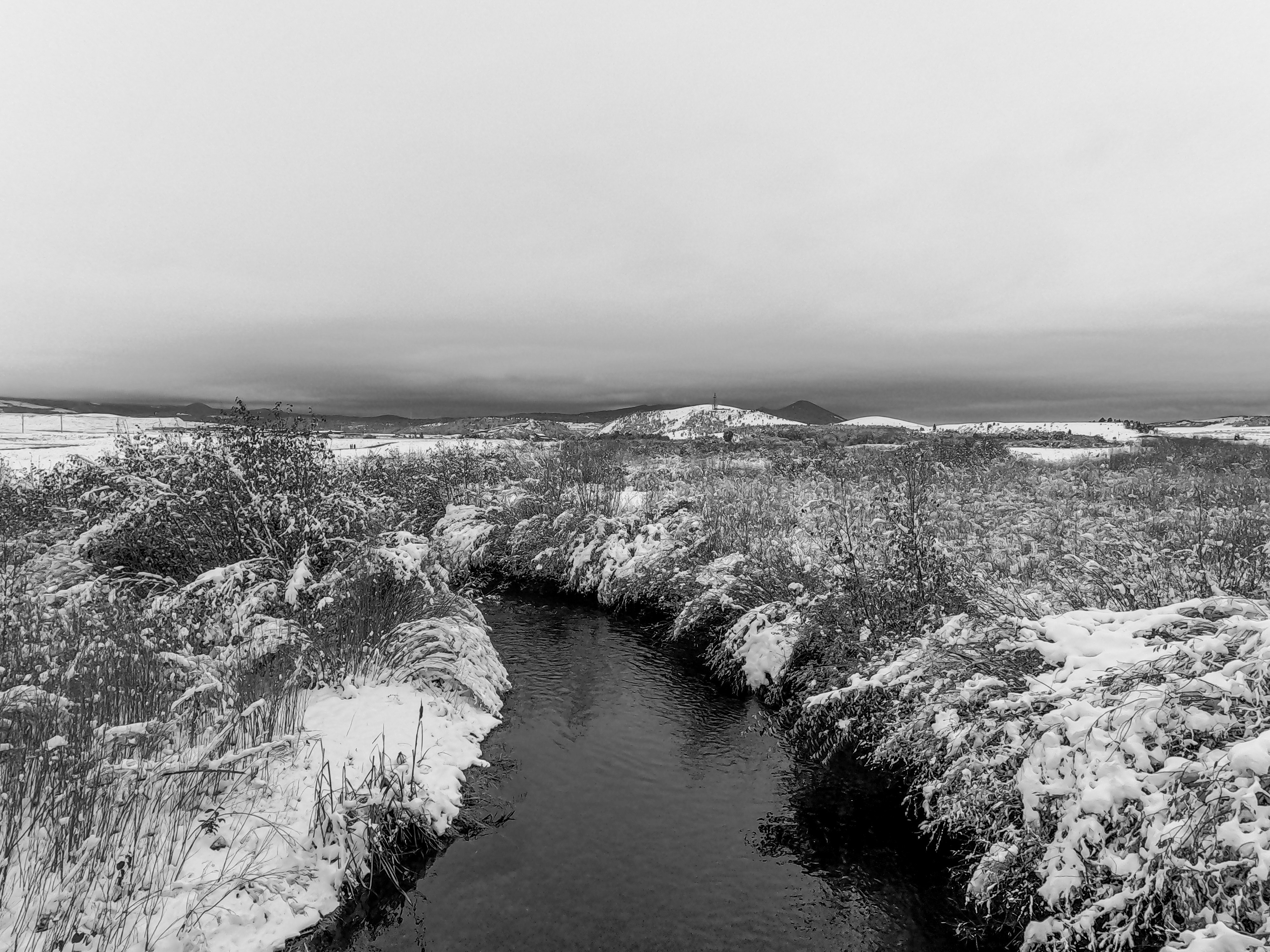 Prickly Pair Creek - Tranquil creek in JFK Park, East Helena, Montana